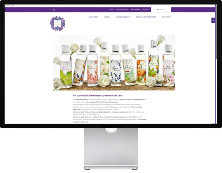 restyle vecchio sito ecommerce